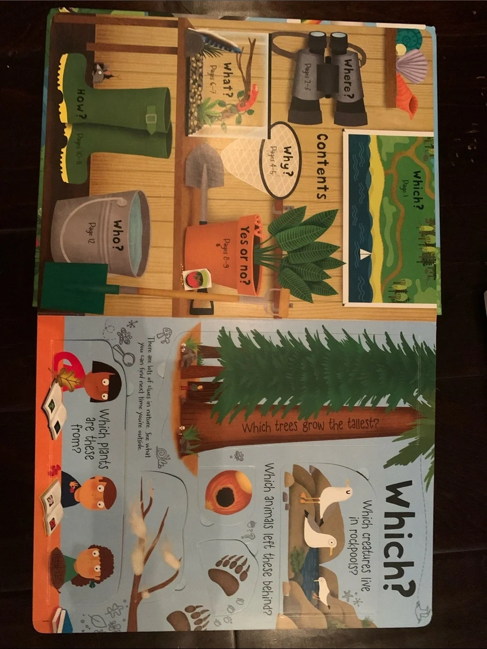 Children’s Natural World Book Set